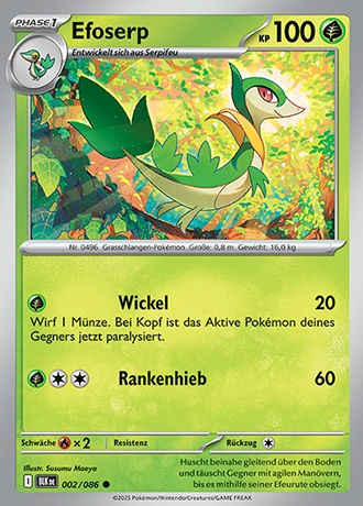 Schwarze Blitze - Pokemon & Trainerkarten