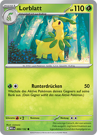 Mega Entwicklung - Pokemon & Trainerkarten - Reverse Holo