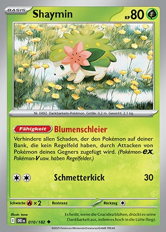 Ewige Rivalen - Pokemon & Trainerkarten - Reverse Holo