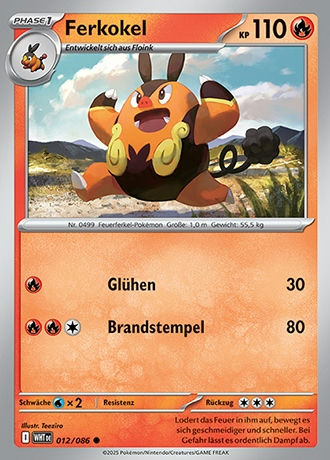 Weisse Flammen - Pokemon & Trainerkarten