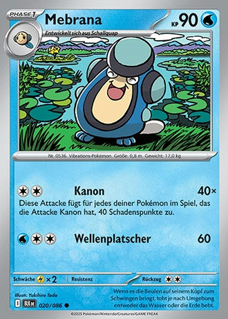 Schwarze Blitze - Pokemon & Trainerkarten