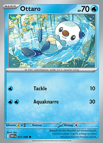 Weisse Flammen - Pokemon & Trainerkarten