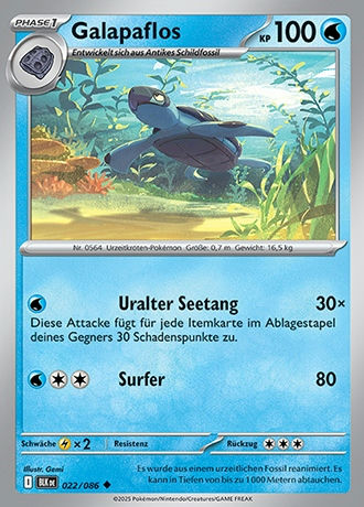 Schwarze Blitze - Pokemon & Trainerkarten