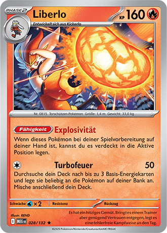 Mega Entwicklung - Pokemon & Trainerkarten