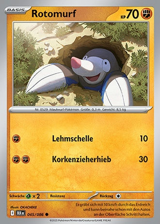 Schwarze Blitze - Pokemon & Trainerkarten