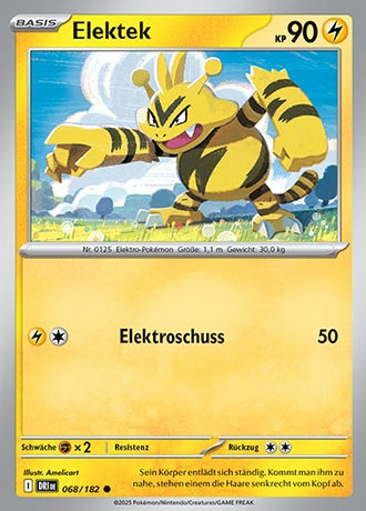 Ewige Rivalen - Pokemon & Trainerkarten - Reverse Holo