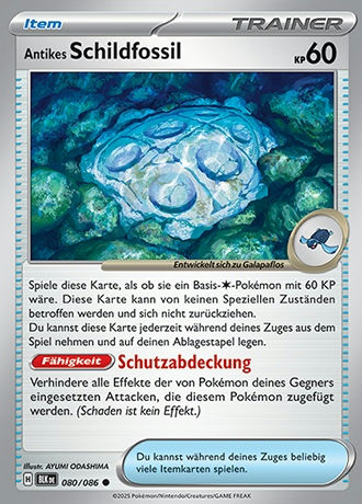 Schwarze Blitze - Pokemon & Trainerkarten