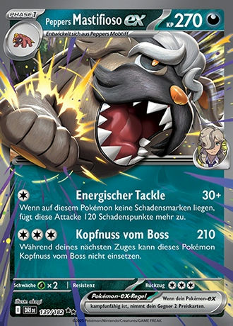 Ewige Rivalen - Pokemon & Trainerkarten